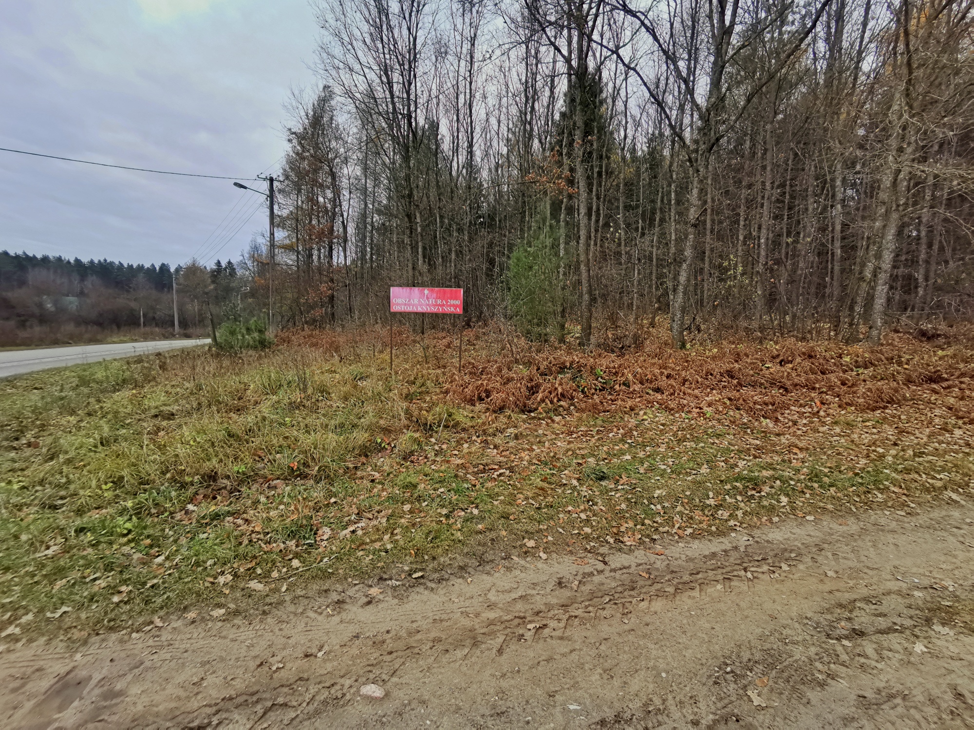 5-Kumiałka-stan.1-fot. L.Pawlata.jpg